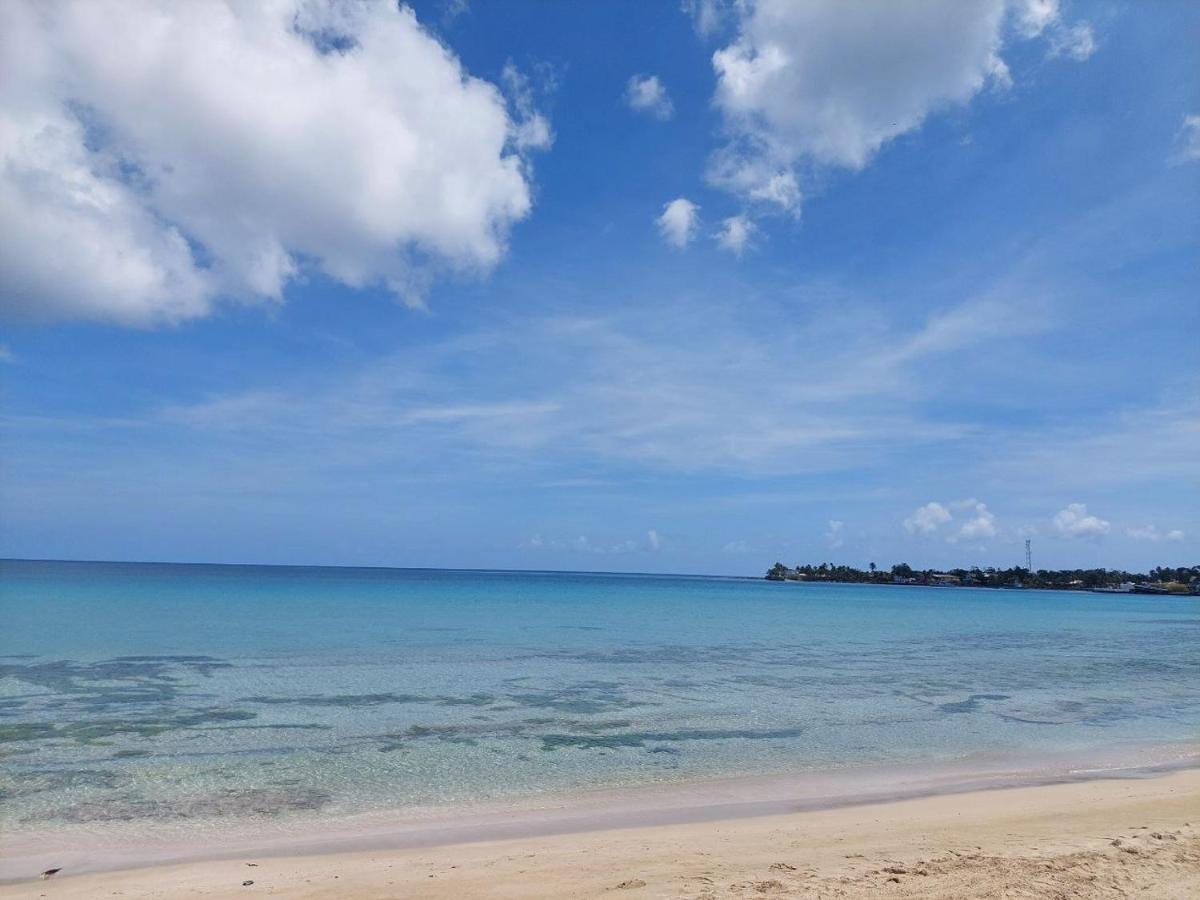 Sunset Bay B&B Brig Bay エクステリア 写真
