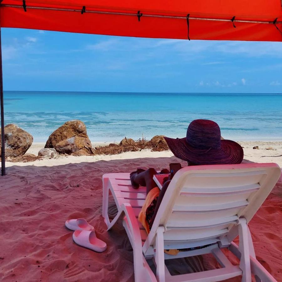 Sunset Bay B&B Brig Bay エクステリア 写真