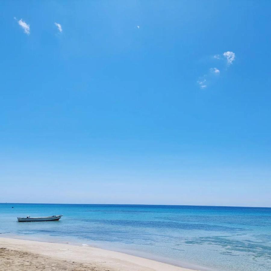 Sunset Bay B&B Brig Bay エクステリア 写真
